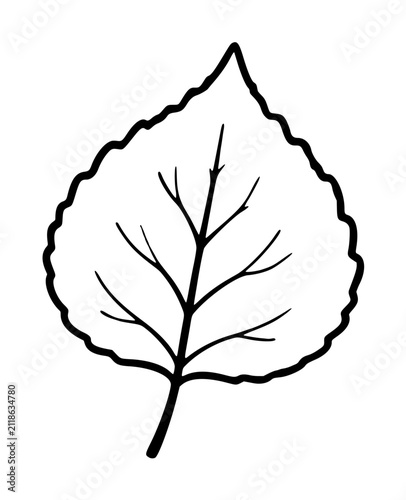 Фотография Hand-drawn black outline vector icon illustration of a single aspen leaf with de
