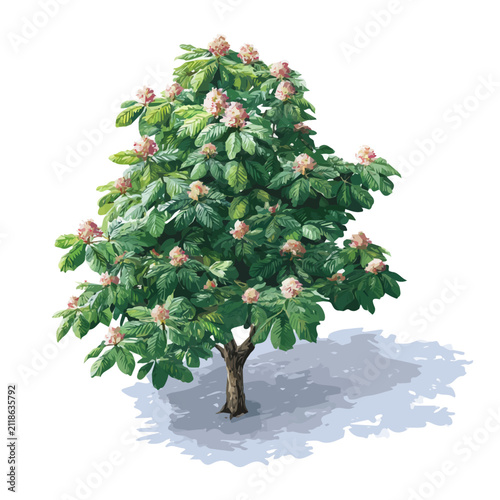 Quadro su tela Horse Chestnut Tree, realistic watercolor artwork on white background