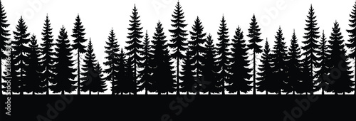 Minimalist forest silhouette border design. Tall evergreen trees vector line art for modern decor.