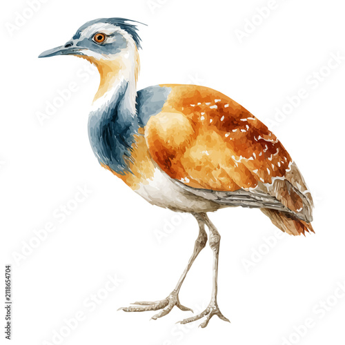 Obraz na plátne Detailed watercolor painting of Bustard, isolated on white background