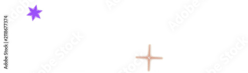 A purple star shape and a brown cross icon design element