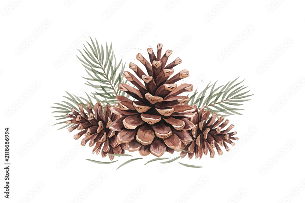 Fototapeta premium A cluster of three brown pine cones with green pine needles, hand-painted in watercolor style, isolated on a white background