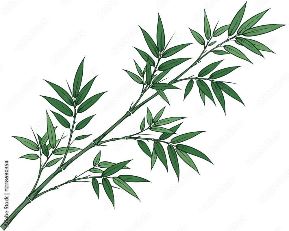 Fototapeta premium Hand drawn bamboo branch with green leaves sketch illustration