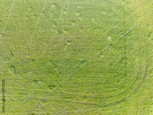 Top‑down drone image of tea‑tree vegetation showing natural patch variation, mixed foliage density, and organic texture. Suitable for environmental storytelling, ecology, conservation, and nature back