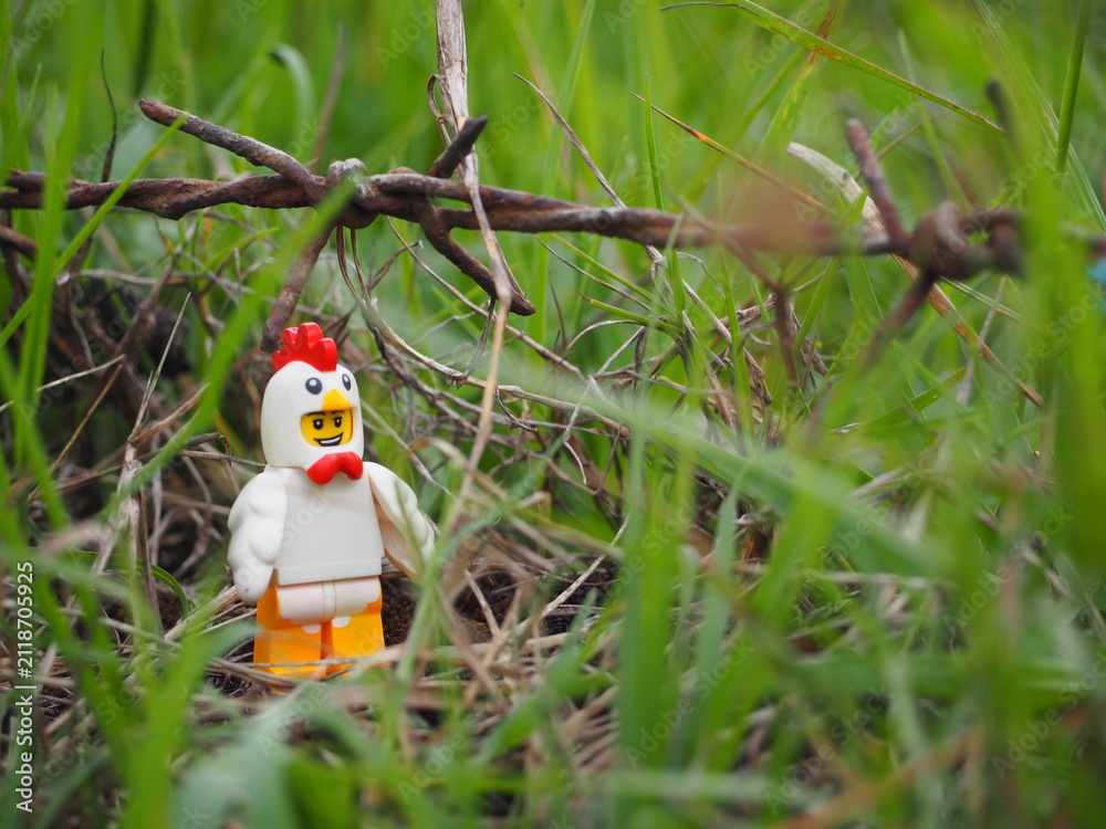 Fototapeta premium Indonesia - November 27, 2019 : Mini toy of action figure at grassland with blurred background. Toy photography concept. Chicken at outdoor with green grass conceptual design.