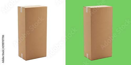 Tall cardboard shipping box and green background
