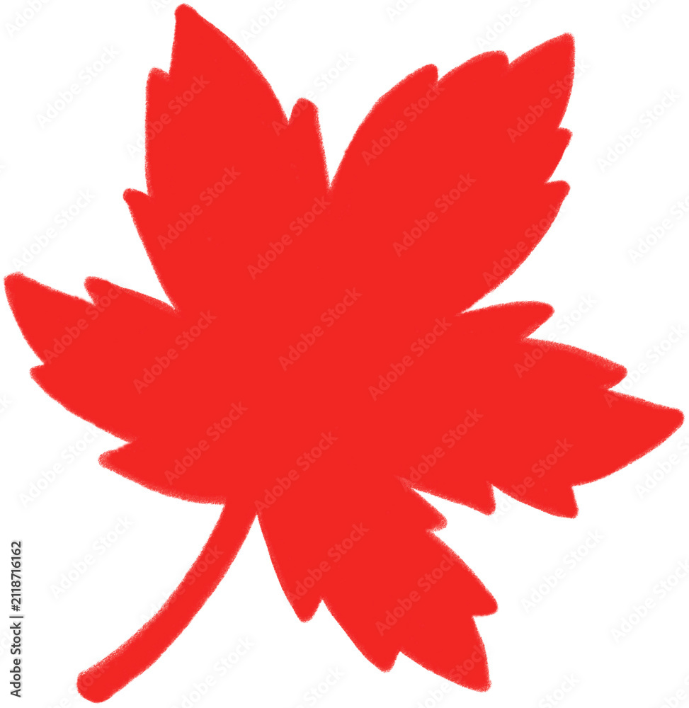 Fototapeta premium red leaf