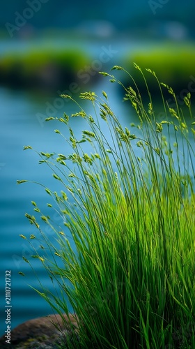 Lush green grasses sway in the foreground against a serene blue water background, highlighting nature's tranquility.