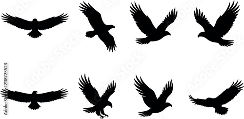 Set of flying eagle black silhouettes featuring hawk falcon raptor birds isolated on white background