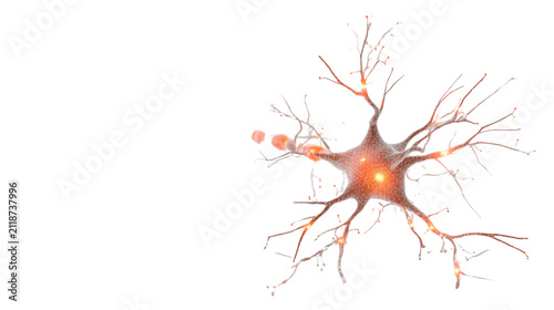 Glowing three dimensional neuron nerve cell with branching dendrites and synapses illustrating human brain science and neurology medical research on white background