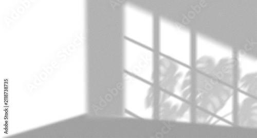 Natural sunlight shadow of a window frame and tropical houseplant leaves cast on a concrete wall and floor corner