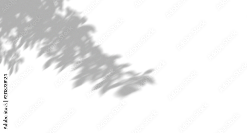 Obraz premium Natural leaf shadow overlay on a smooth surface for creative design projects and digital composition photography