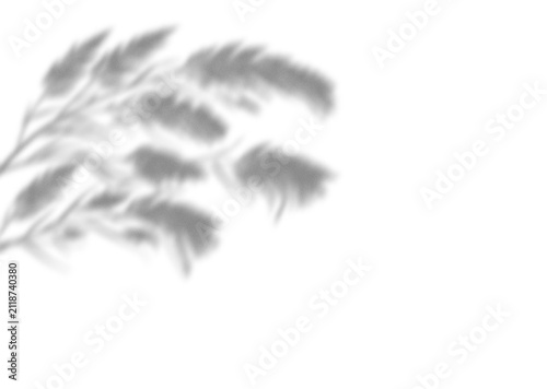 Abstract shadow of tropical palm leaves falling on a surface creating a soft natural overlay effect