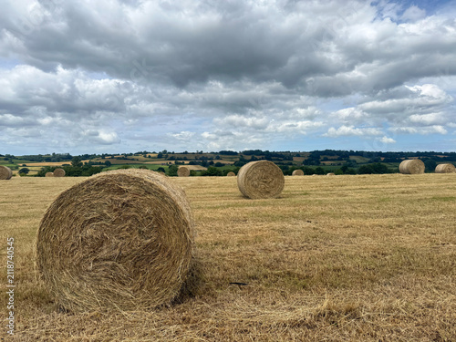 Somerset summer landscape, field of round hay bales on freshly cut grass