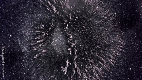 Macro shot of magnetic field lines and patterns created by iron filings under the influence of a magnetic field.