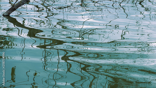 Abstract drawing of tree branch shadows on water