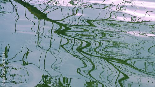 Abstract drawing of tree branch shadows on water
