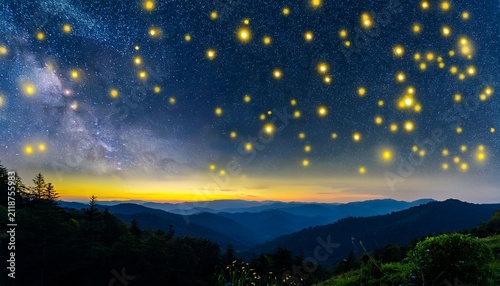 Synchronous Fireflies In Great Smoky Mountains