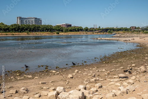 Fotografie Ausgedehntes trockenes Rheinufer bei sommerlichem Niedrigwasser in Köln – Köln,