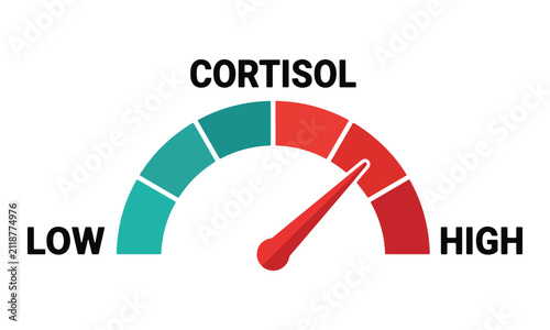 Cortisol Level Gauge Meter Showing High Stress on White Background
