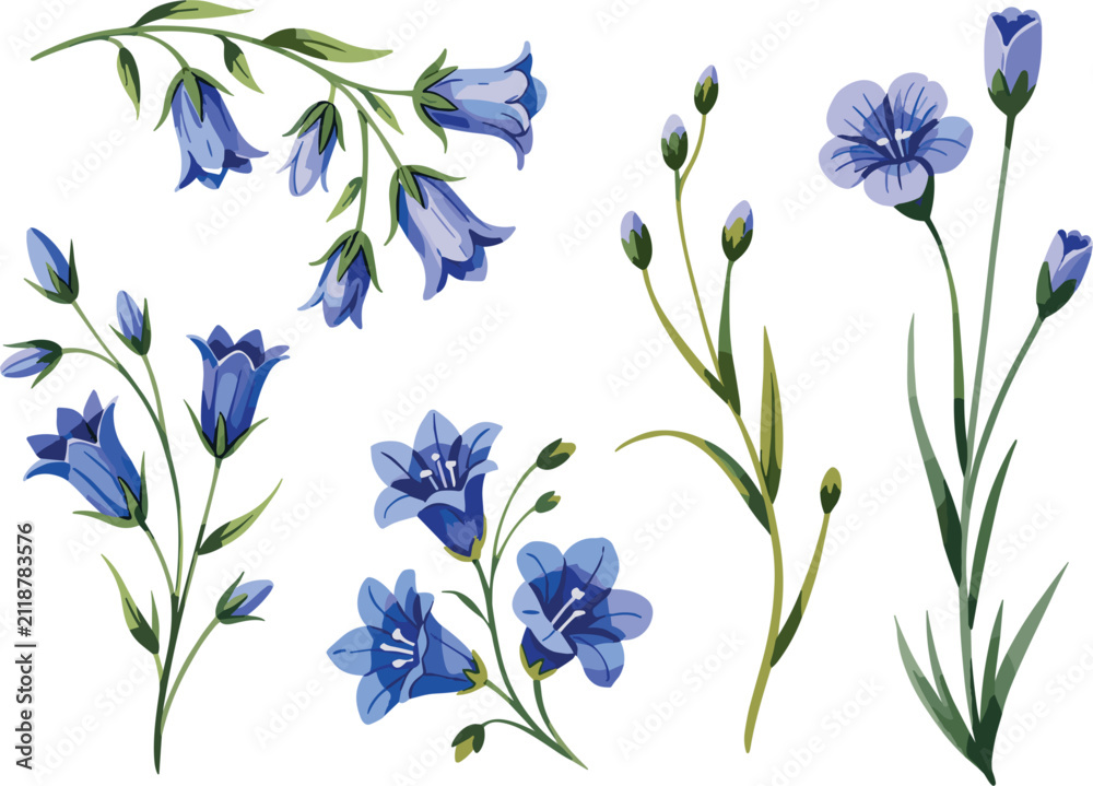 Fototapeta premium Blue bellflower vector set, hand drawn wild blue flowers and green stems illustration collection