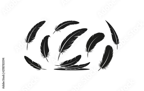 Black Feather Icon Set SVG PNG | Bird Feather Vector