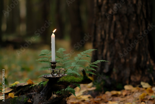 Fotografía candlestick with burning magic wax candle in autumn forest, dark abstract nature background