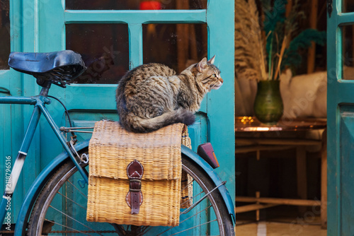 A cat sitting on a wicker pannier on a bicycle outside a shop.