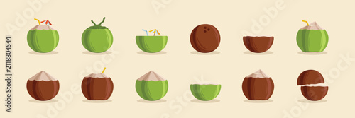 Set of simple coconut flat element illustration 