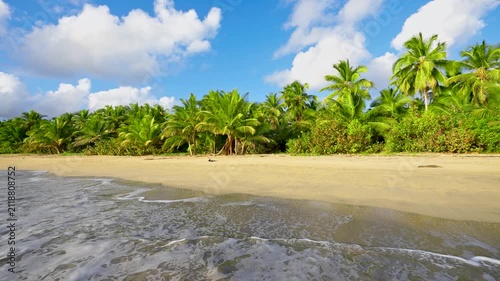 Palm trees, golden sand, and turquoise water on a beautiful tropical beach. Paradise in the Seychelles. Blue skies with tropical palm foliage. A trip to a tropical paradise island in the ocean.