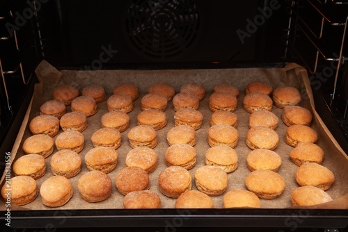 Freshly baked golden homemade cookies or scones on parchment paper inside hot oven close up