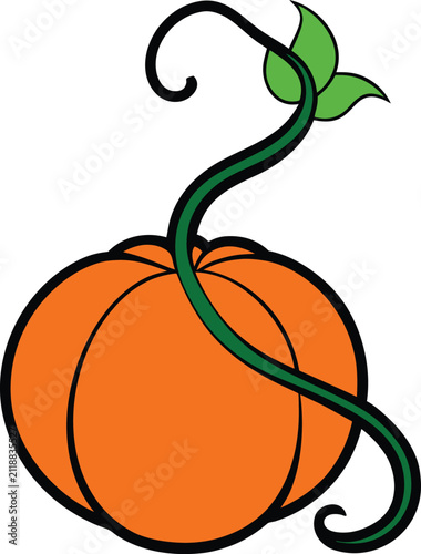 Large orange pumpkin with long green vine and leaves for harvest festival autumn farm produce seasonal vegetable garden theme element.