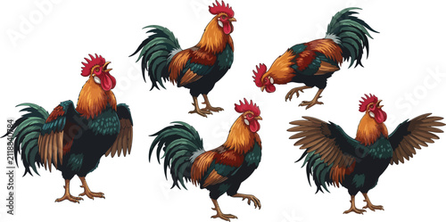 фотографія vector illustration clipart of rooster with 5 poses semi realistic art style