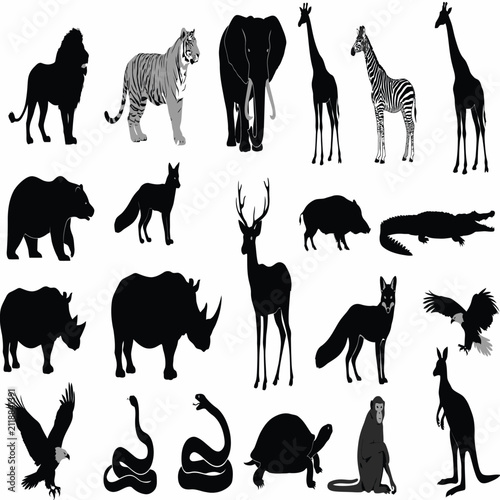 Photography Colección de varias siluetas de animales salvajes sobre fondo blanco