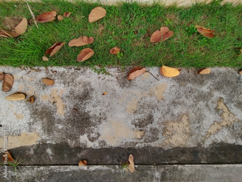 Weathered Concrete Edge with Green Grass and Fallen Leaves Natural Outdoor Texture