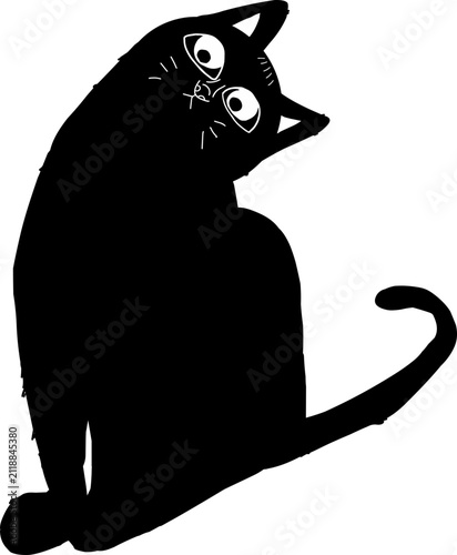 BLACK CAT