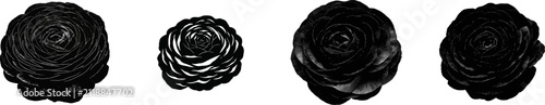 A solitary buttercup-like ranunculus head in a monochrome black and white silhouette, with dense papery petals forming a heavy, rounded shape against a white background