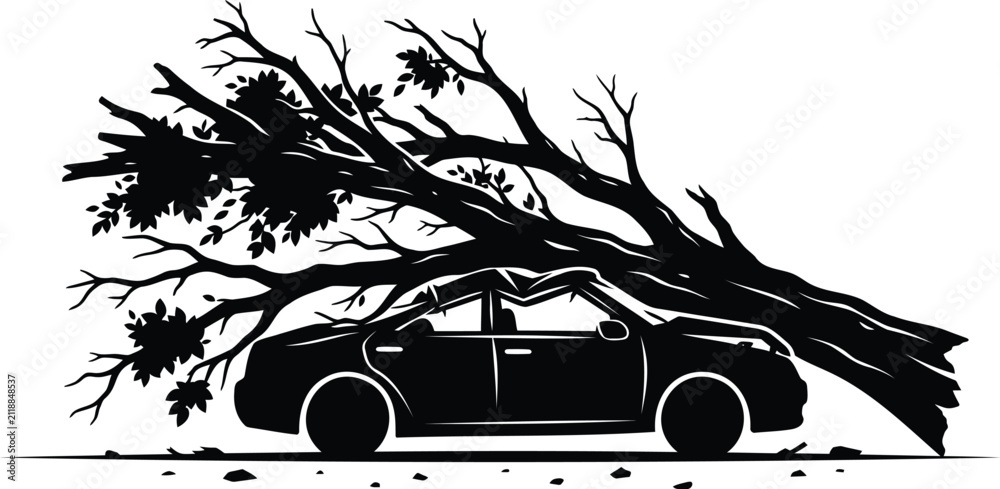 Obraz premium Black silhouette of a car crushed by a fallen tree