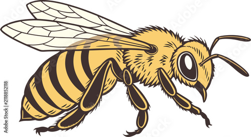 Quadro su tela Side profile honey bee worker isolated on transparent background, showcasing detailed pollinator anatomy and wings