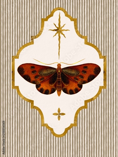 Fotografía Mystical celestial badge featuring a bright orange brown moth butterfly, golden North star symbol, and crescent in an elegant frame on a striped linen background
