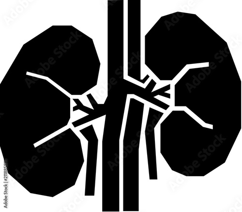 Kidneys Icon