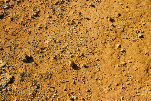 Desert ground as a natural background.