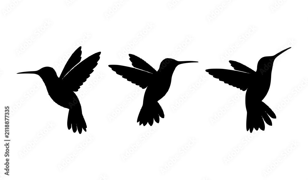 Obraz premium Three Hummingbirds in Flight with Different Wing Positions Black Silhouette Vector Set 