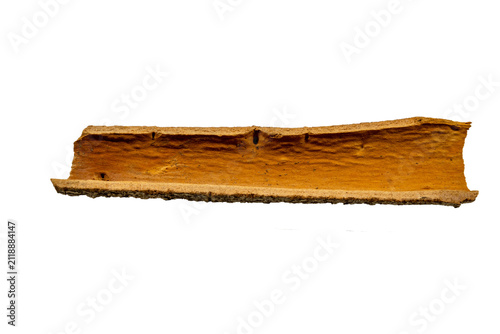 Bild auf Leinwand A single, curved piece of dried cinnamon bark showing a rough, textured brown ou