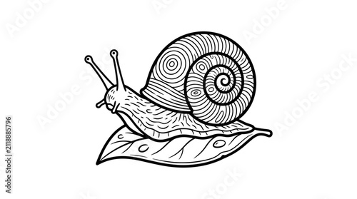 Detailed illustration of a snail on a leaf.