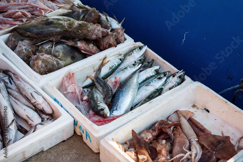 Assortment of fresh fish and squid displayed in white boxes at a Greek market stall