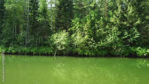 View from a moving boat along river surrounded by green forest. Peaceful natural landscape, summer travel and outdoor adventure concept.