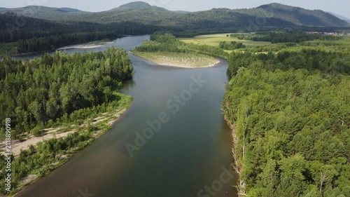 Aerial drone view of wild river flowing through taiga forest surrounded by mountains in summer. Untouched nature landscape with green trees and clean water. Concept of wilderness, remote travel 