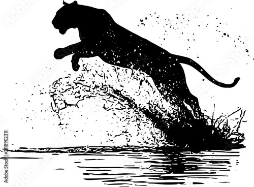 Fotografie Illustration silhouette vector of tigger running in water
