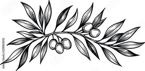 Olive vector illustration featuring detailed branches